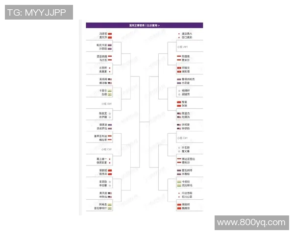 羽毛球混双世界排名分析与顶尖组合对比探讨
